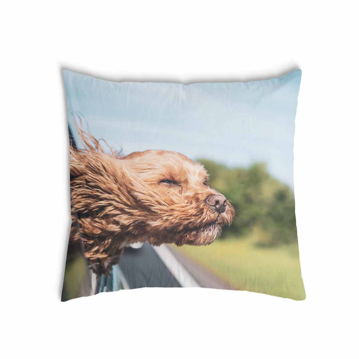 Coussin de santé avec chien dans la voiture