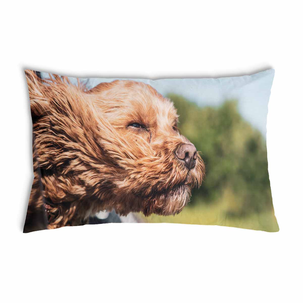 Coussin de santé avec chien dans la voiture