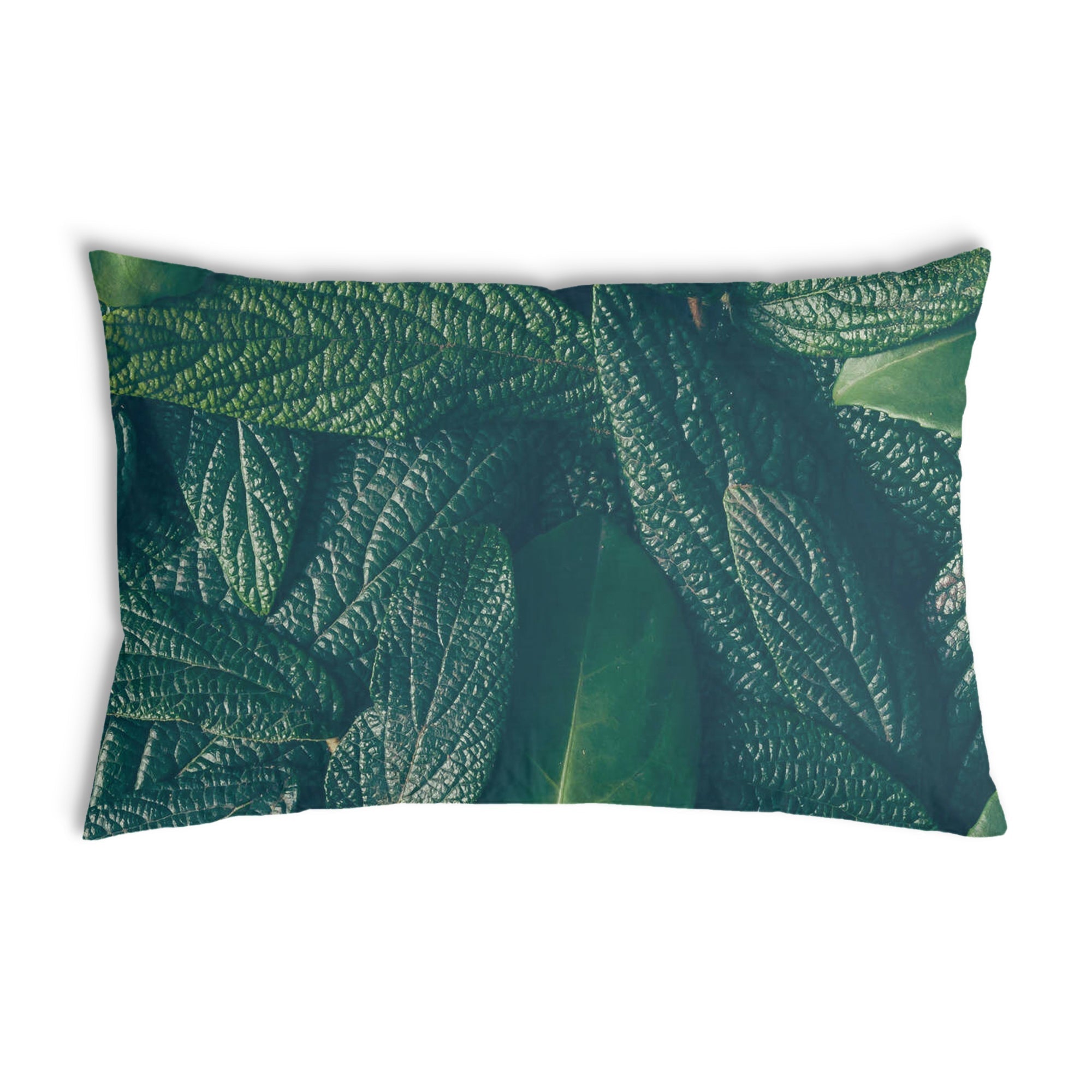 Coussin de santé Feuilles vertes