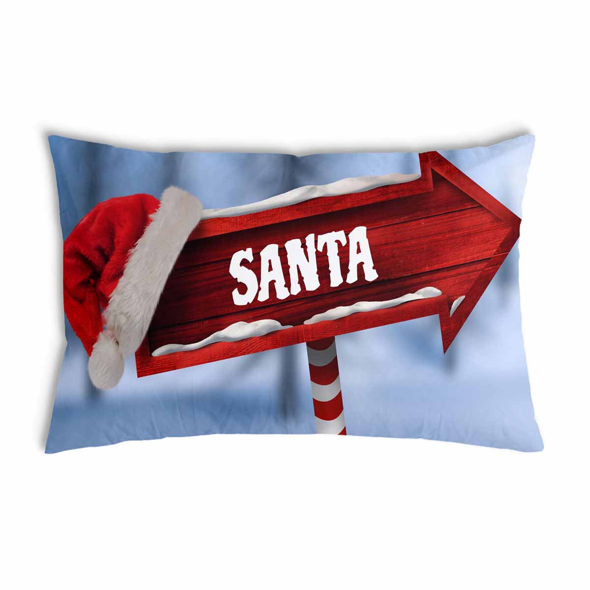 Coussin de santé Santa