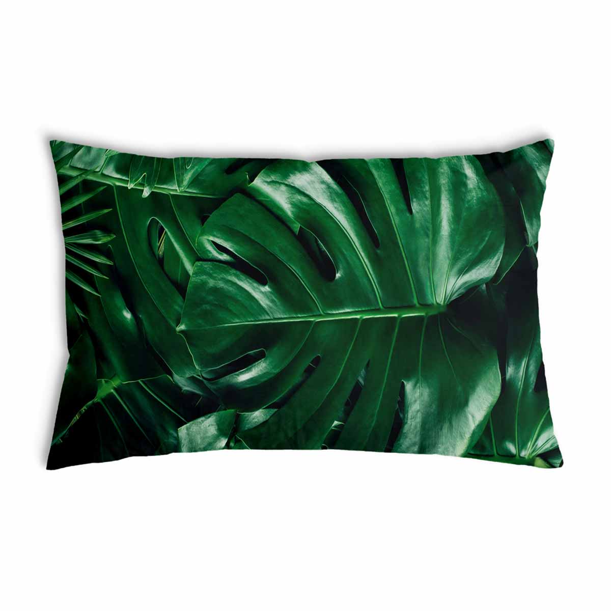 Coussin de santé avec plante Monstera