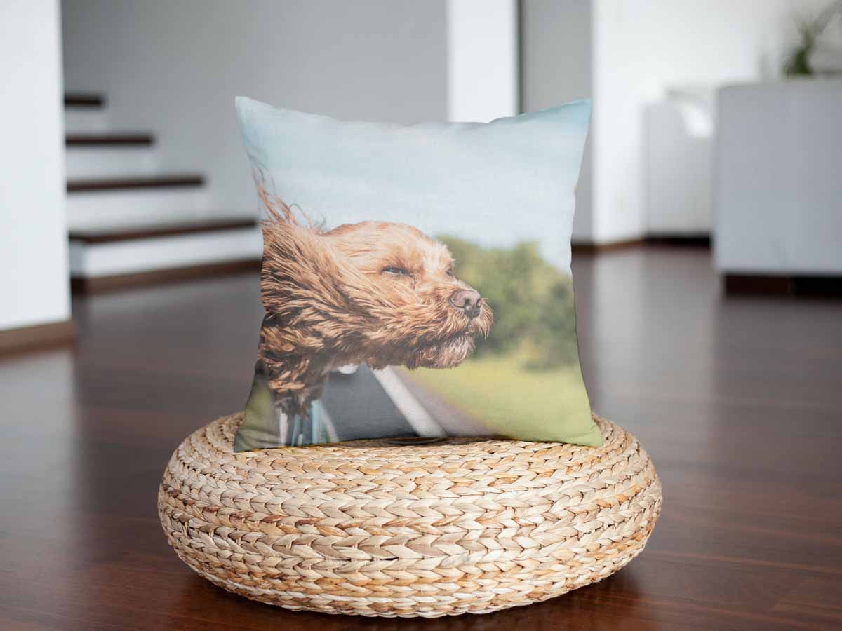 Coussin de santé avec chien dans la voiture
