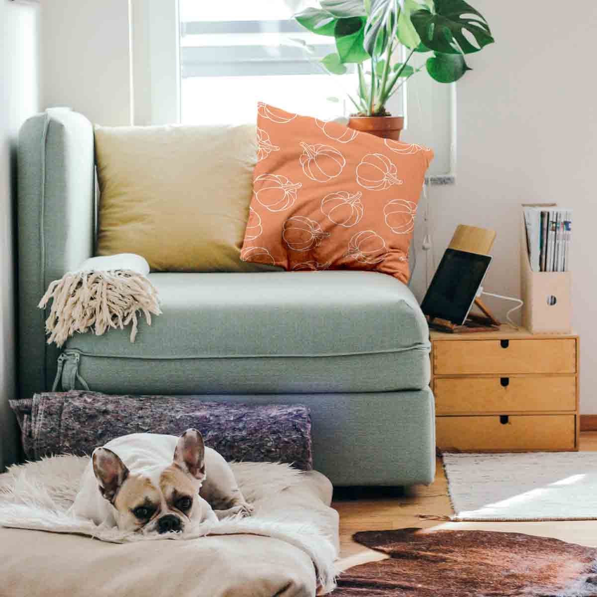 Coussin de santé orange avec citrouille