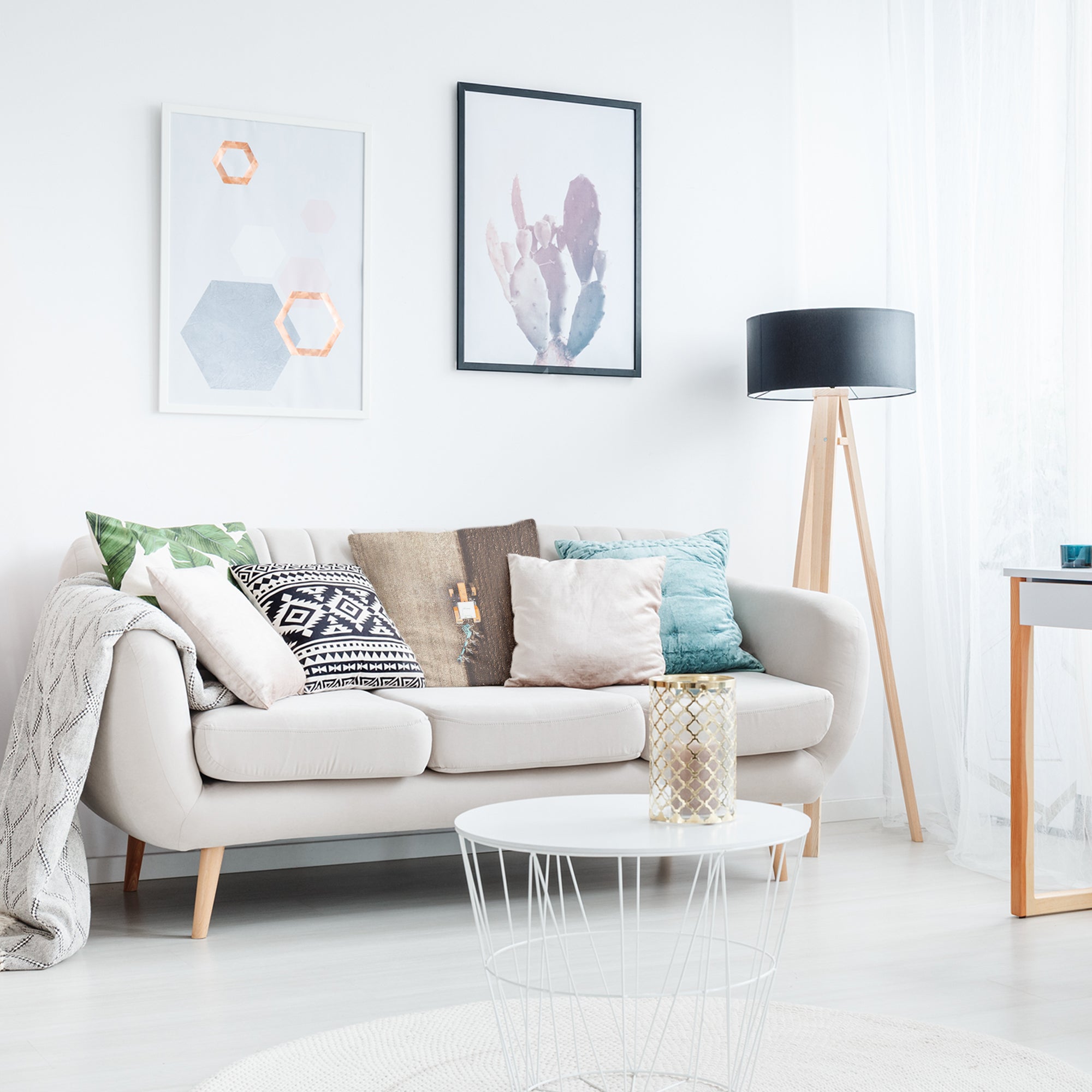 Coussin de santé Braun Ackerland