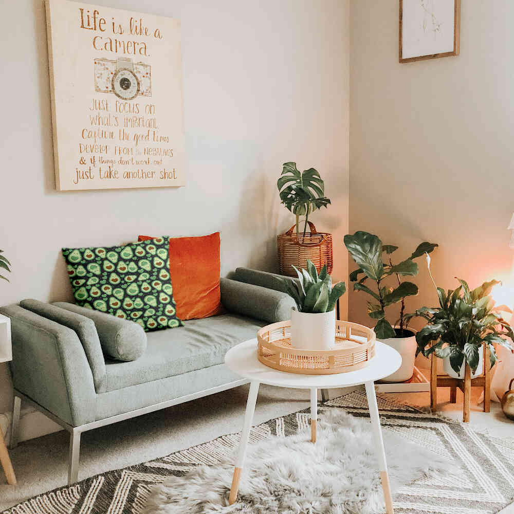 Coussin de santé Avocats verts