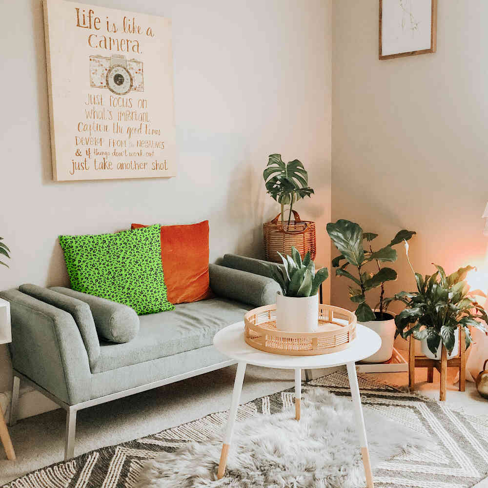 Coussin de santé vert clair avec point d'interrogation
