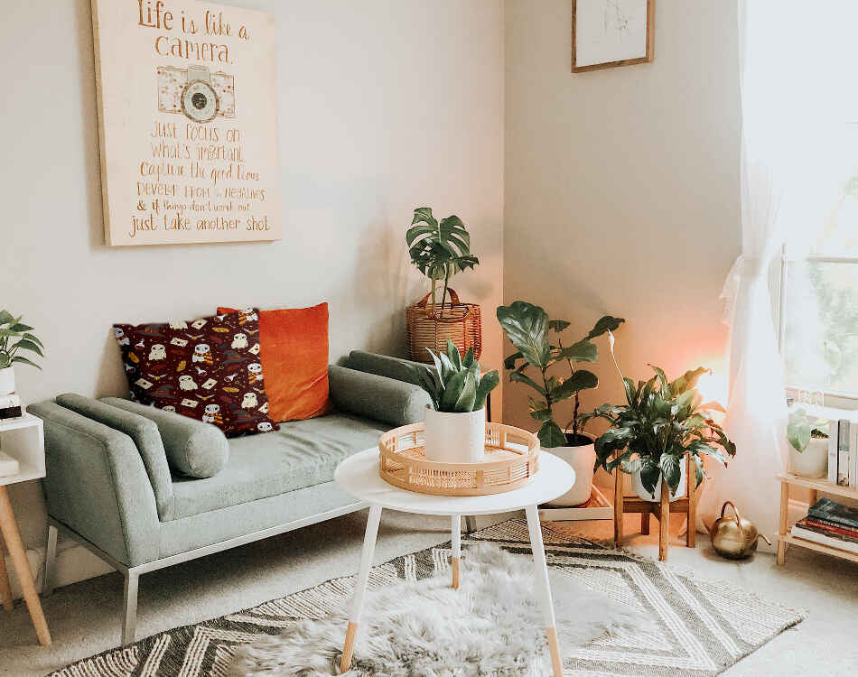 Coussin de santé Braun Hedwig