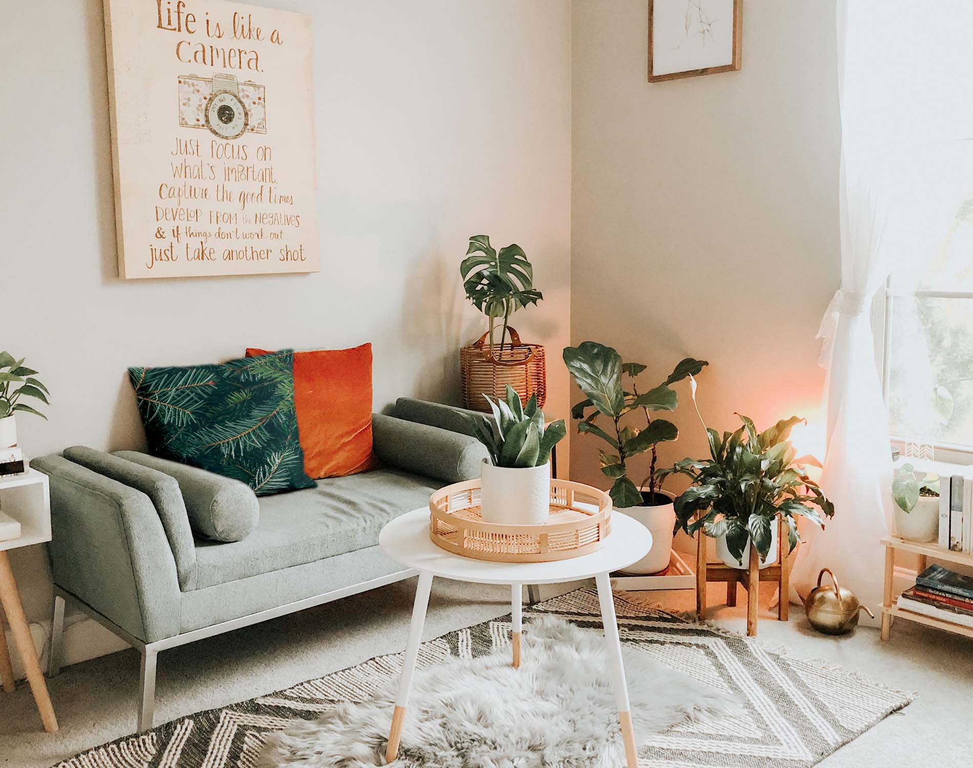 Coussin de santé avec des branches de sapin vertes