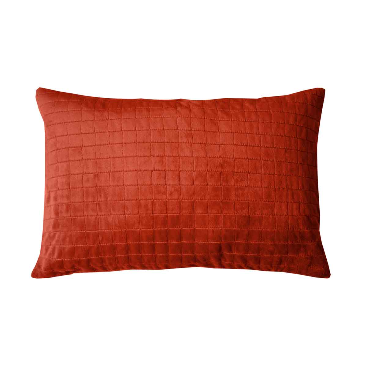 Coussin de santé rouge pour adultes