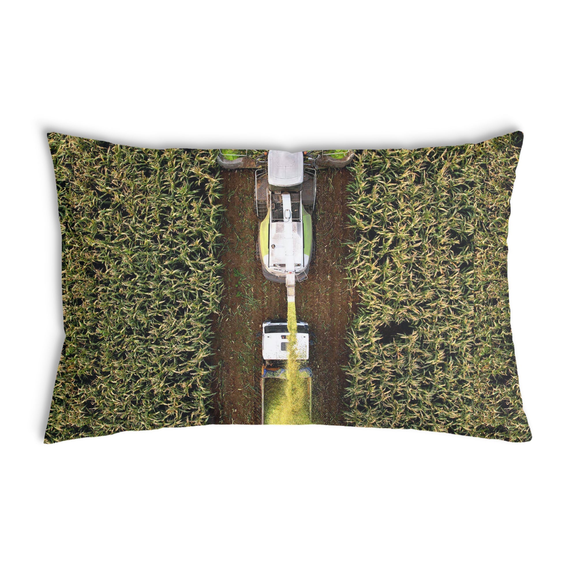Coussin de santé Champ Vert