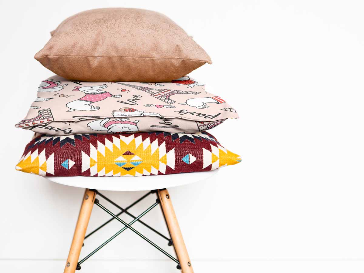 Coussin de santé pour chien à Paris