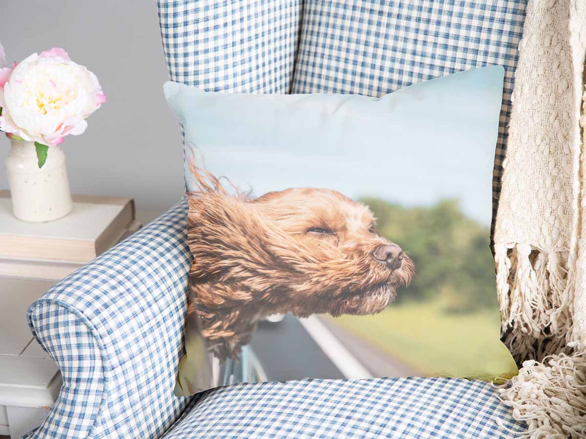 Coussin de santé avec chien dans la voiture