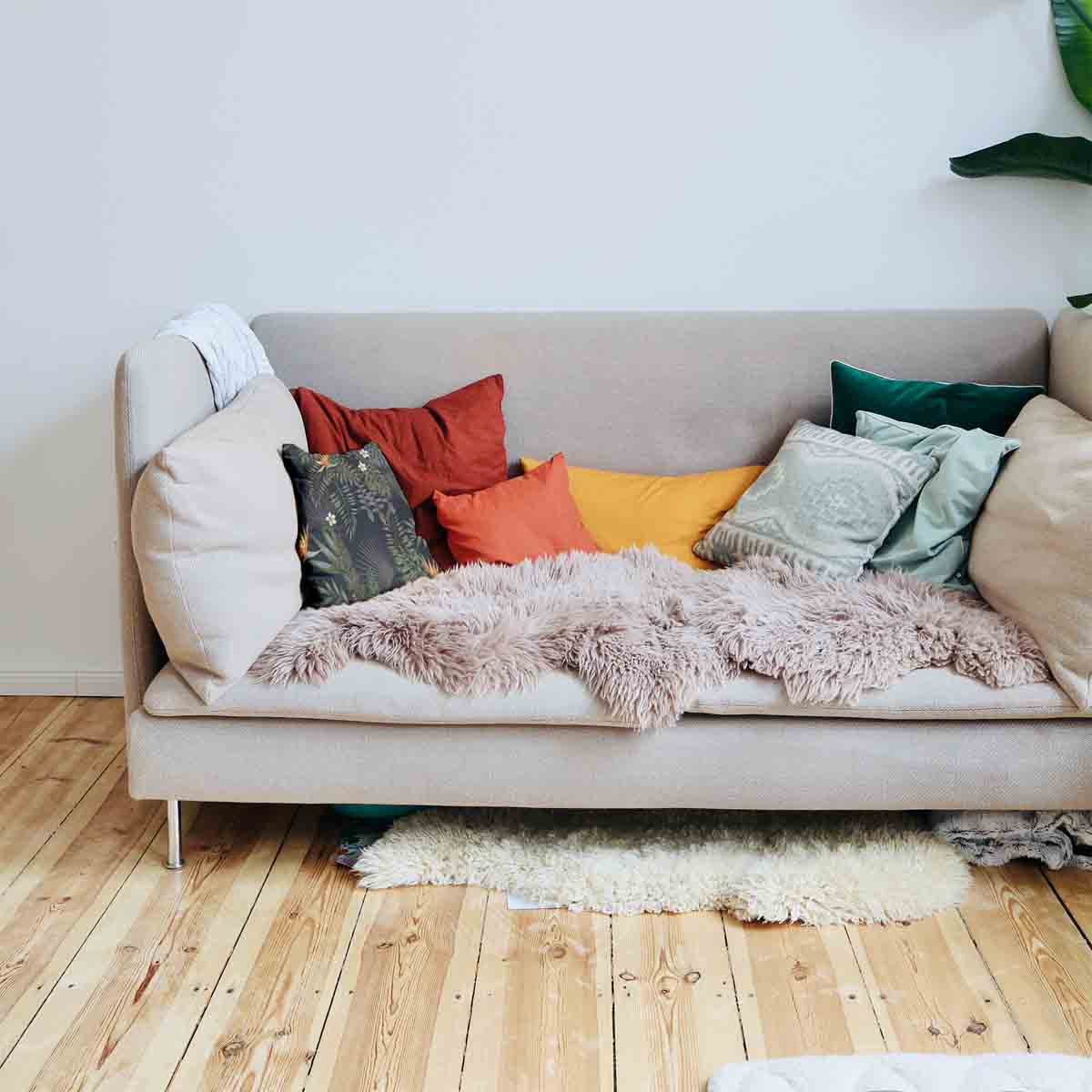 Coussin de santé Forêt tropicale