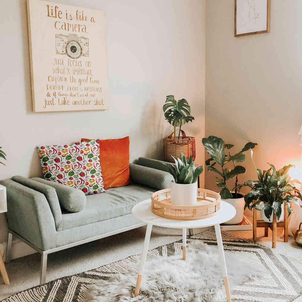 Coussin de santé avec légumes
