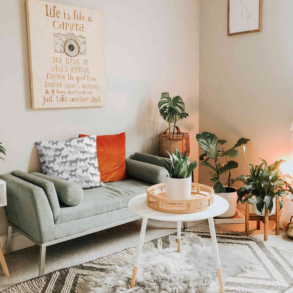 Coussin de santé gris avec des ânes