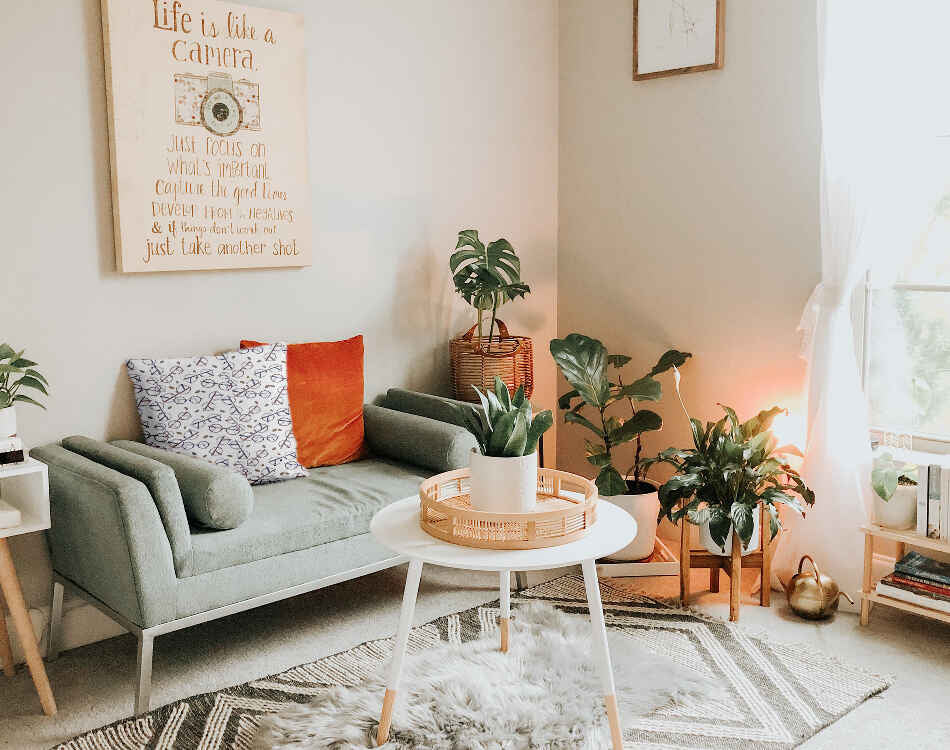 Coussin de santé avec les lunettes de Harry