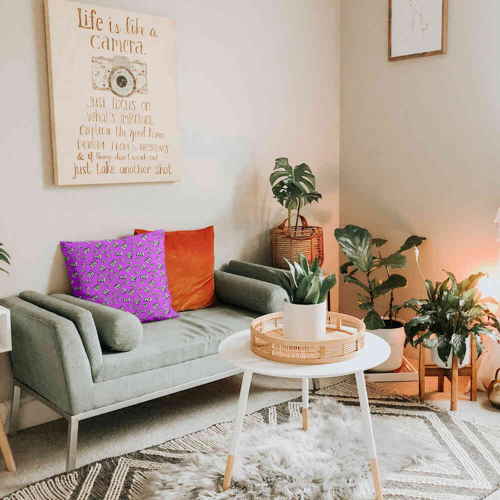 Coussin de santé Ha Ha Ha